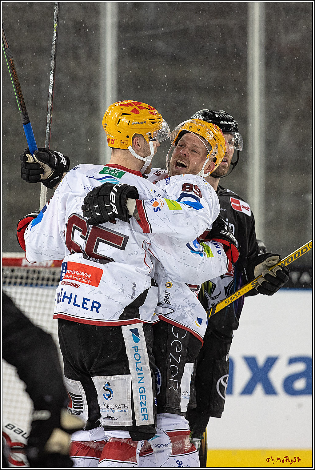 PENNY DEL; Kölner Haie - Fischtown Pinguins; Köln, 22.12.2022